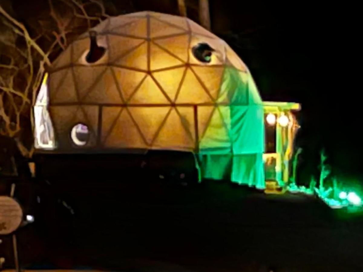 Waterfront Luxury Glamping Dome Otel Rogersville Dış mekan fotoğraf