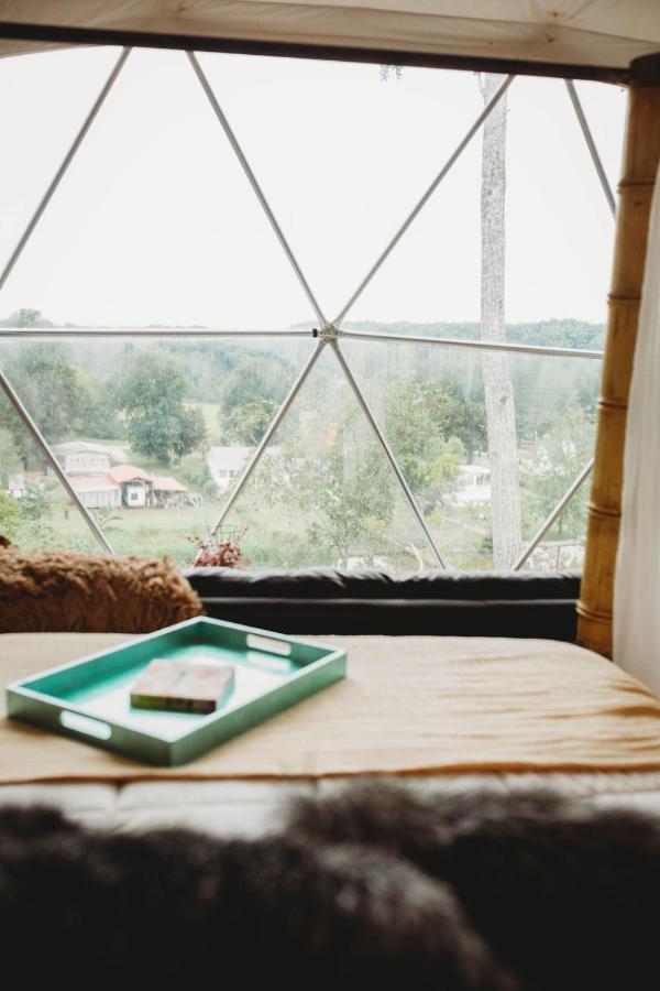 Waterfront Luxury Glamping Dome Otel Rogersville Dış mekan fotoğraf
