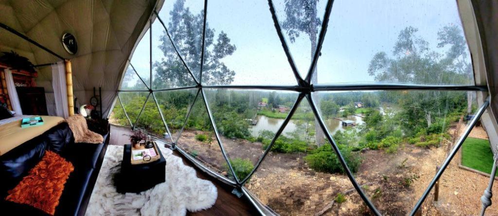 Waterfront Luxury Glamping Dome Otel Rogersville Dış mekan fotoğraf