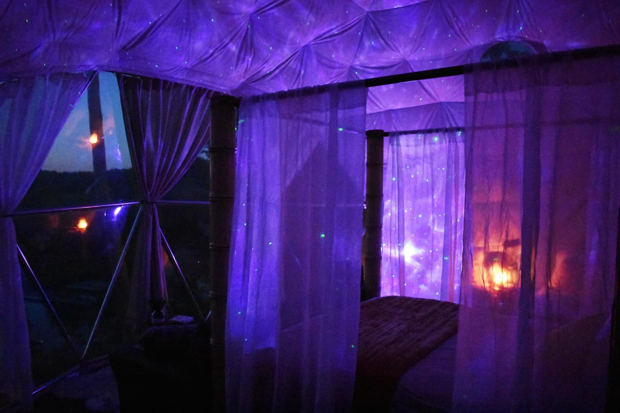 Waterfront Luxury Glamping Dome Otel Rogersville Dış mekan fotoğraf